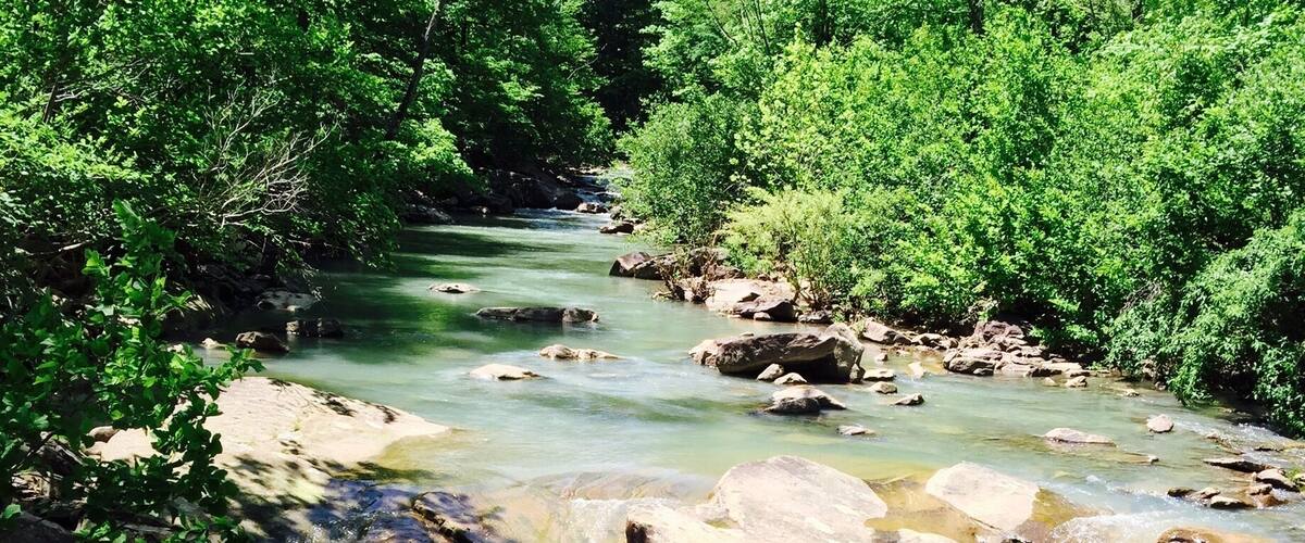 Beautiful yoga spot in the Ozark-Saint Francis National Forest.