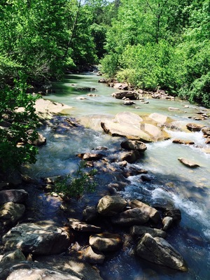 Beautiful yoga spot in the Ozark-Saint Francis National Forest.
