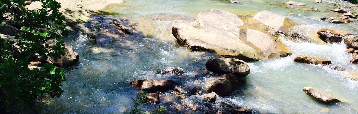Beautiful yoga spot in the Ozark-Saint Francis National Forest.