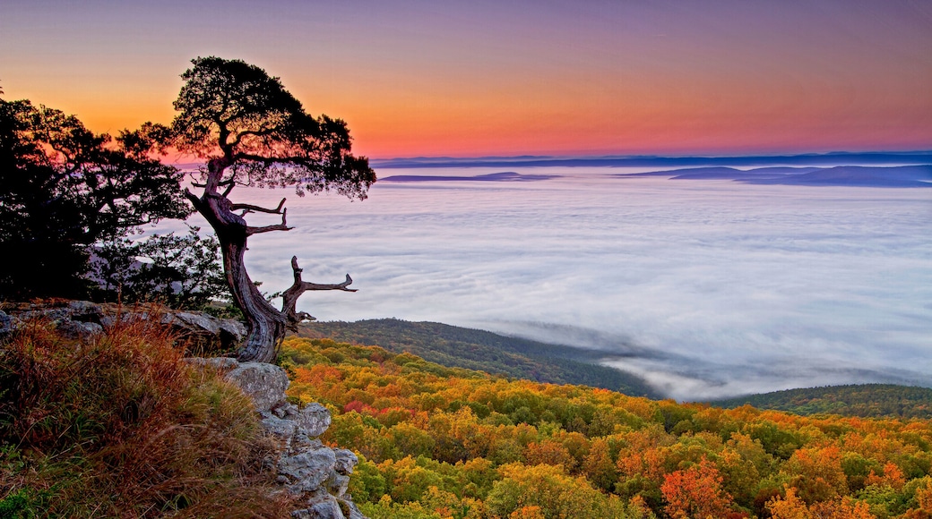 Un atardecer sobre una cadena montañosa boscosa con un árbol destacado en un afloramiento rocoso.