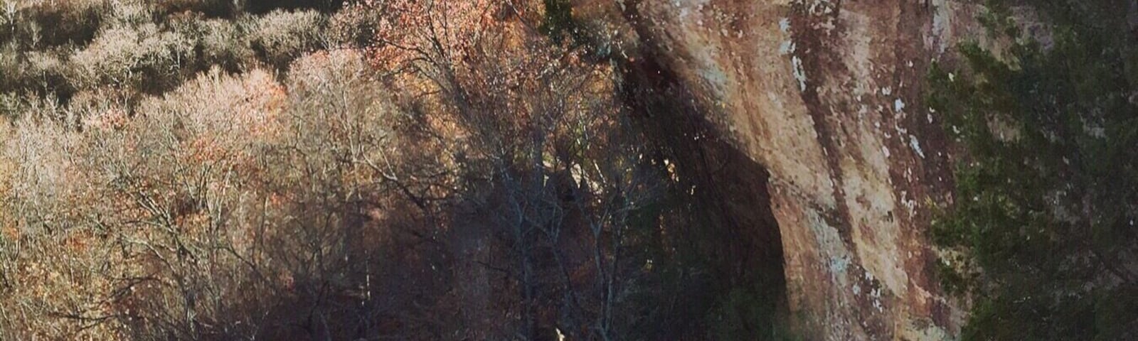 Yellow rock trail at Devils Den State Park