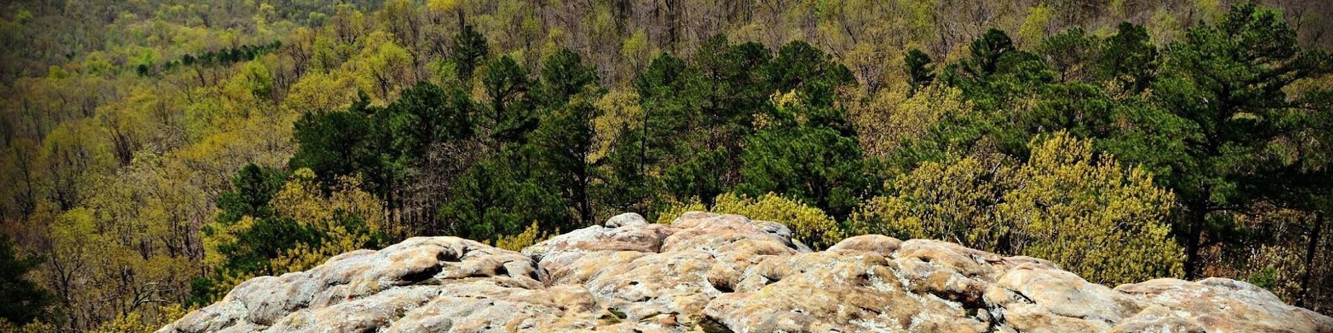 Along the trail at Sam's Throne. Photo from April 2015.
