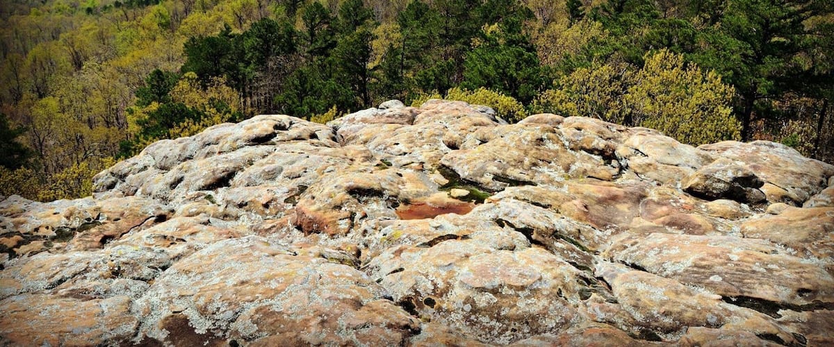 A rocky outcrop with a forested mountain in the background.