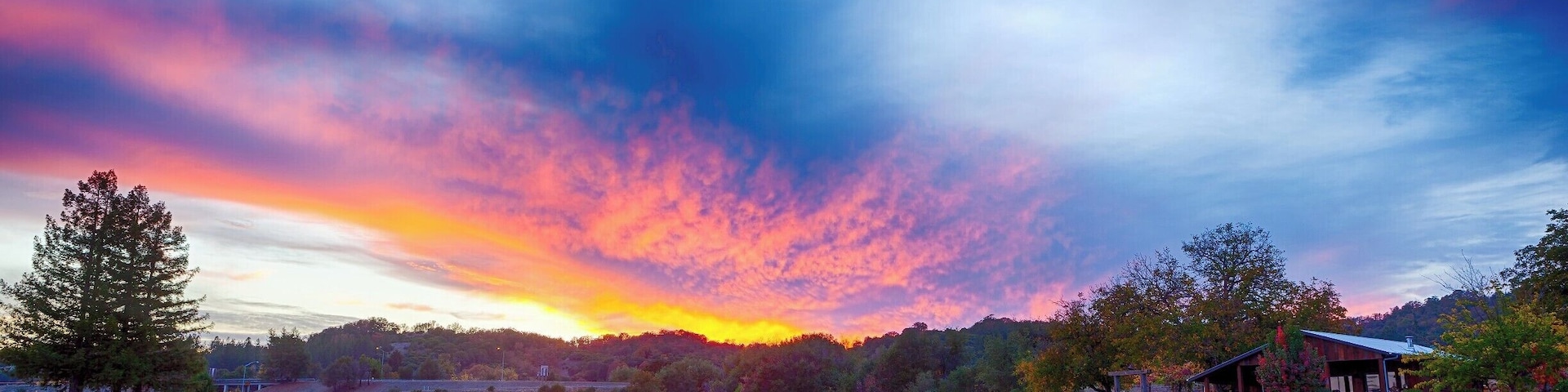 Testa Vineyards is a small, family run, winery located in Calpella, California. #BVStrove #winery #grapes #sunset #california