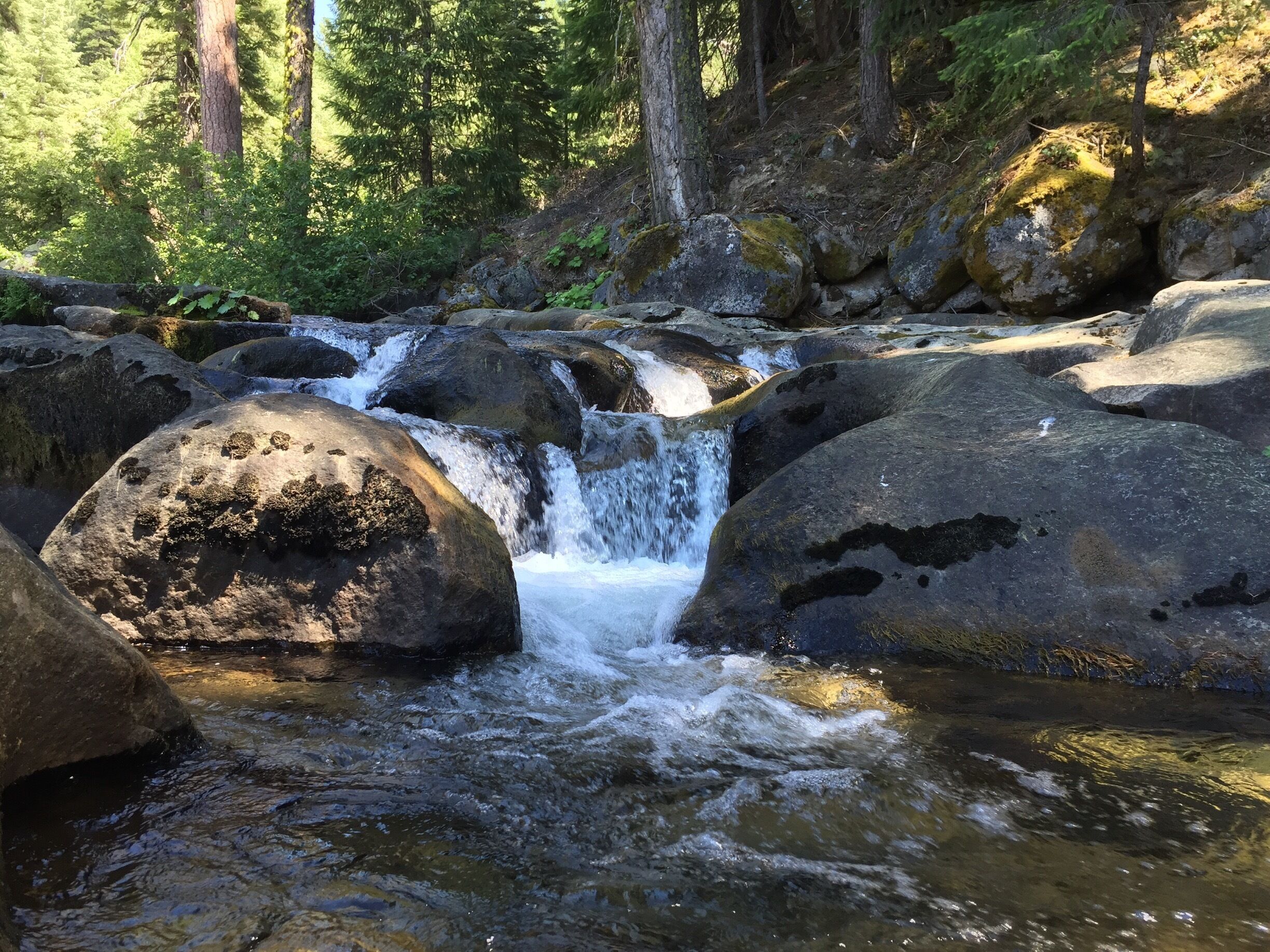 Poor lighting, beautiful surroundings 