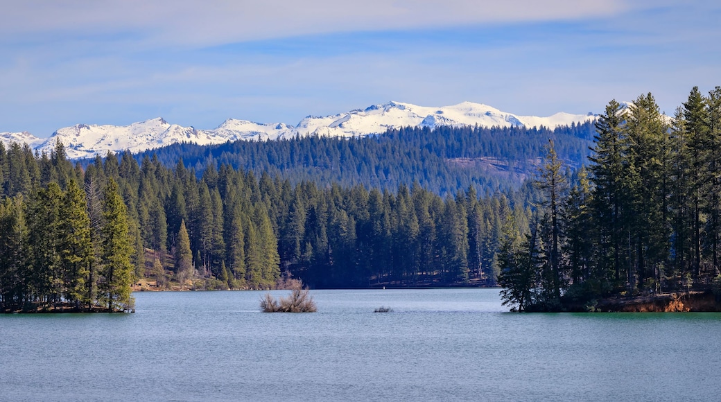Un lac entouré de forêts denses, avec des montagnes enneigées en arrière-plan.