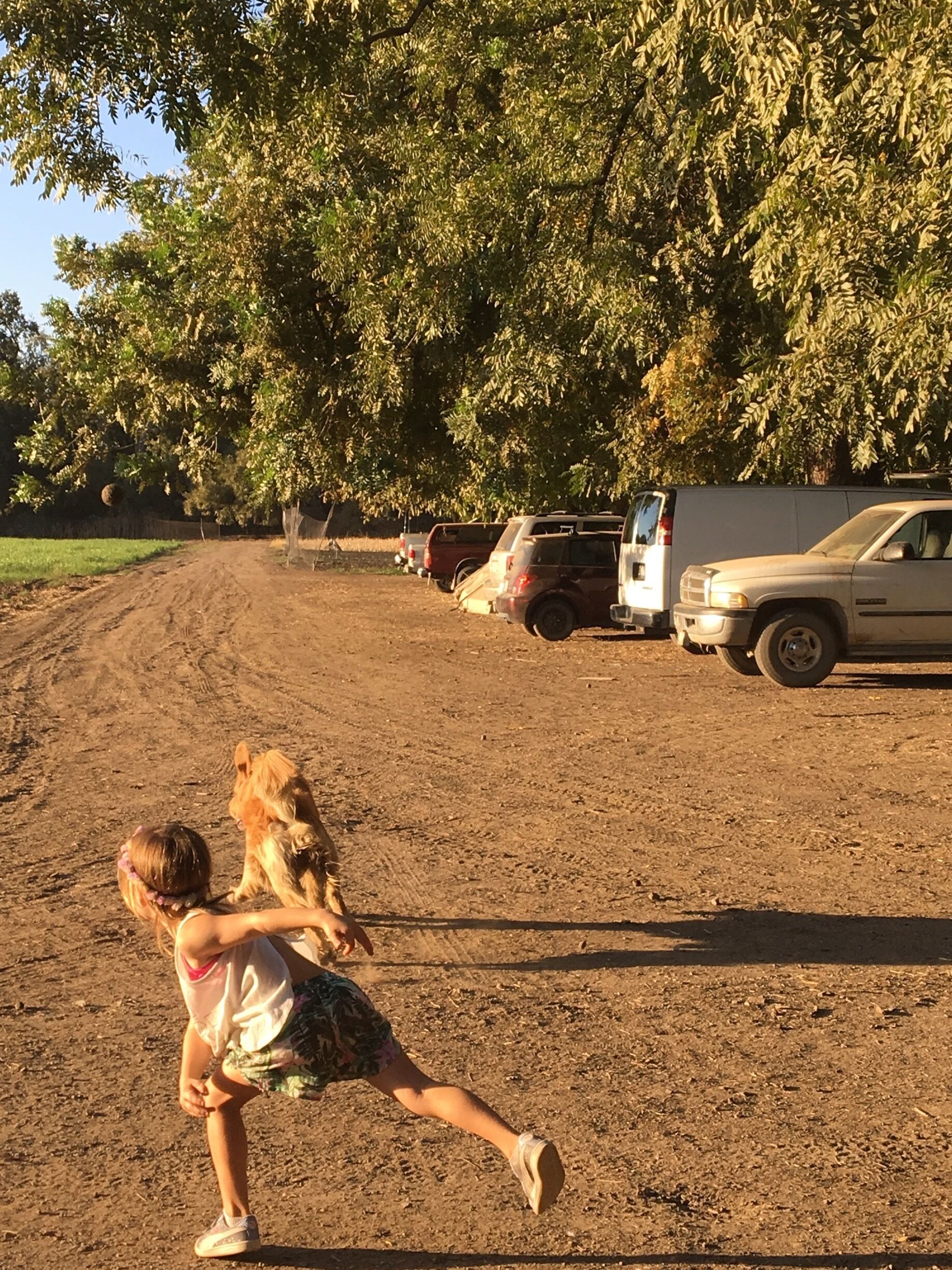 A dirt road with parked vehicles and trees in the background.