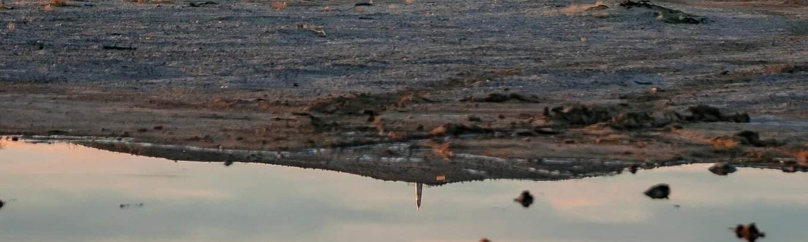 2020 of Jan 25th After the rain, look like a real lake, but not. :) Perfect sunset with left water.
I think radio airplane, not sure. But I love this!