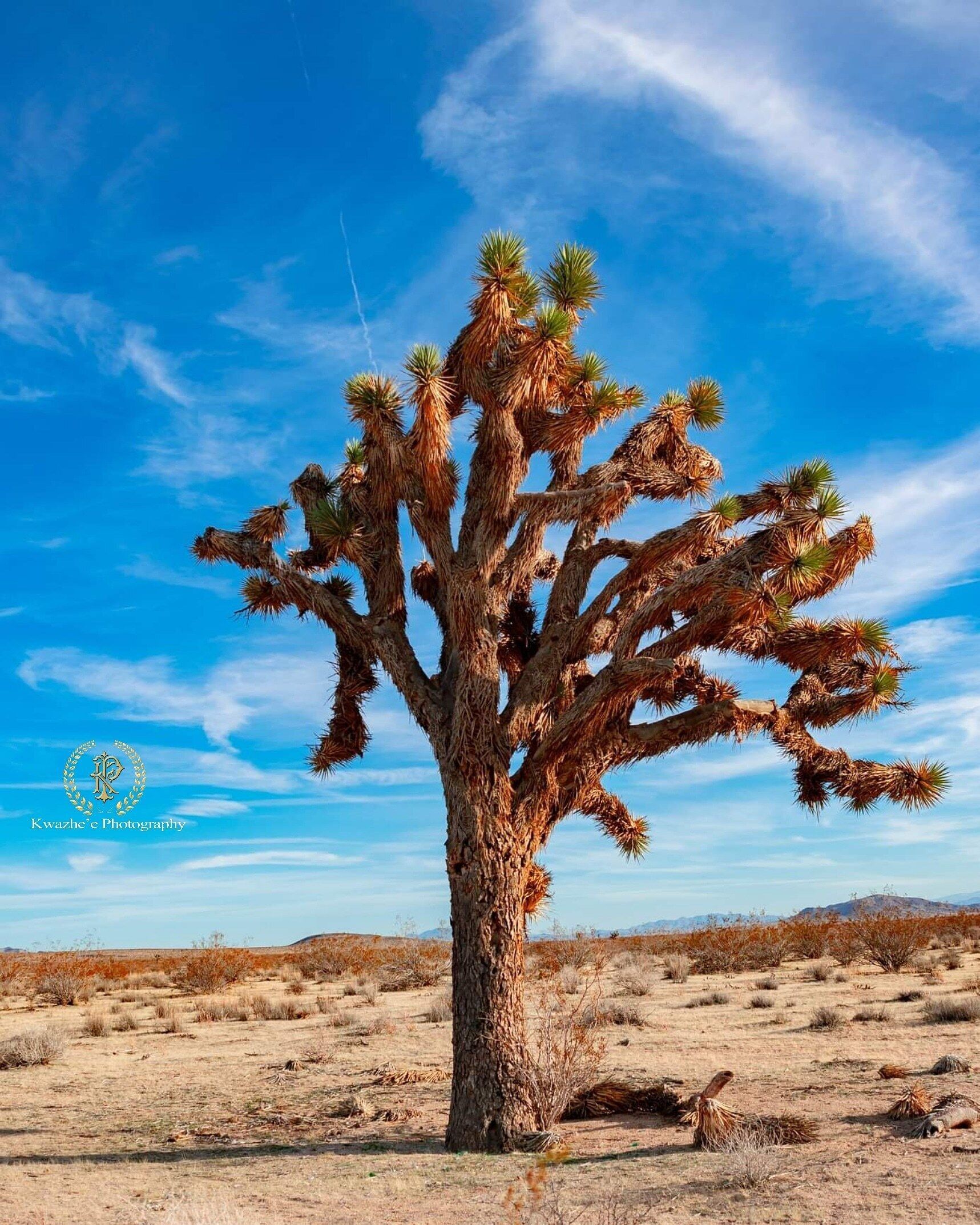 2020 of Jan 25th - we can't make it be there for the Rainbow National Park, my friend and I decided to stop by and perfect this.