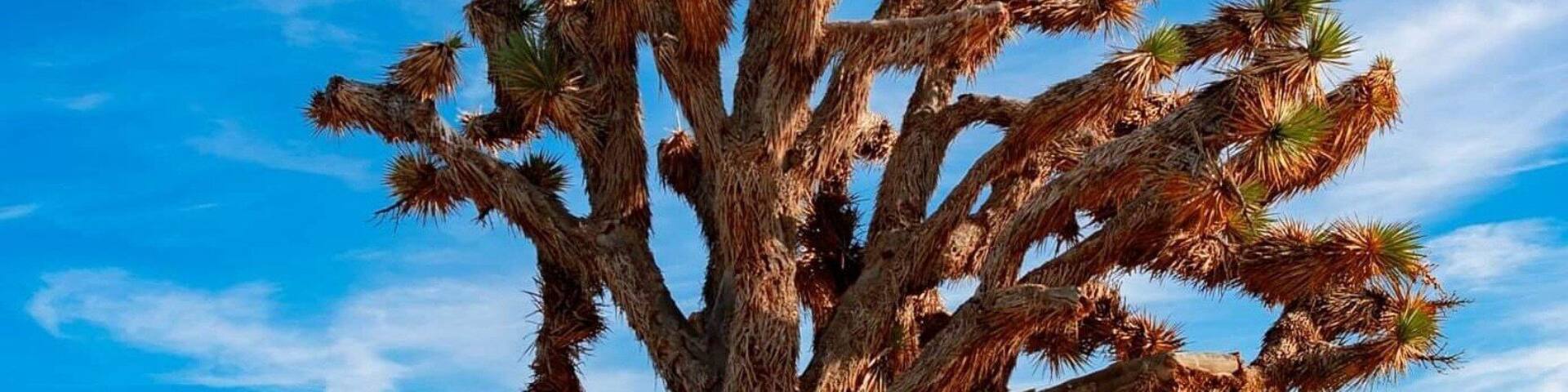 2020 of Jan 25th - we can't make it be there for the Rainbow National Park, my friend and I decided to stop by and perfect this.