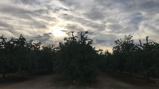 Beautiful morning sky #sunrise #country