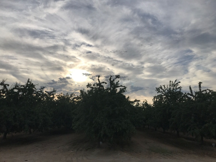 Beautiful morning sky #sunrise #country