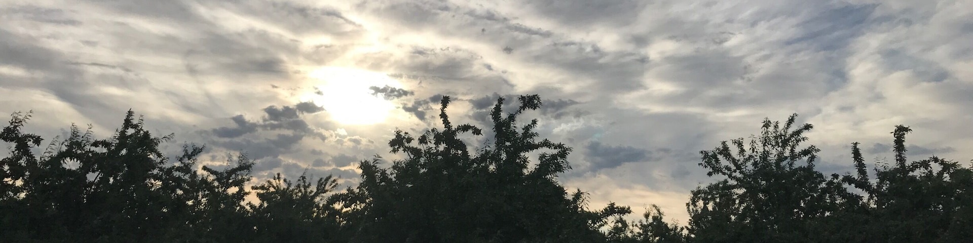 Beautiful morning sky #sunrise #country