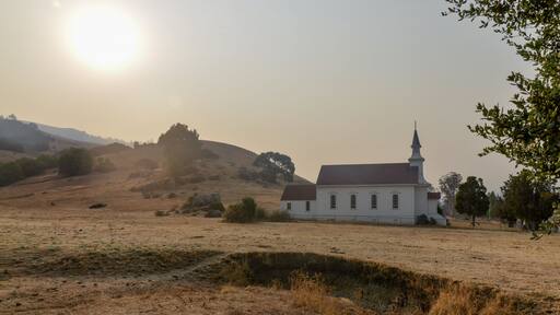 Nicasio