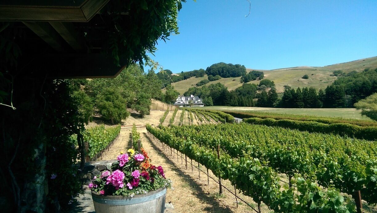 Private tour of Lucas Ranch. Very lucky. 