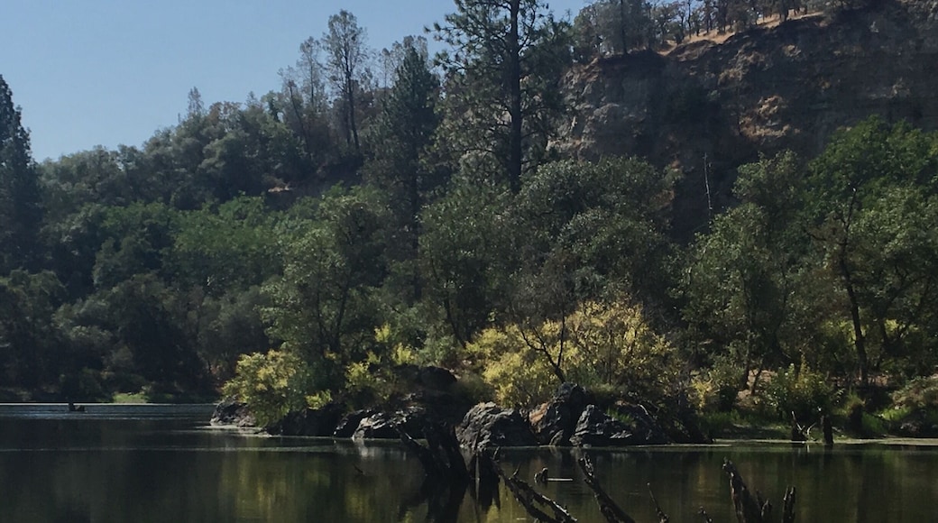 Black Swan Trail at Black Swan Preserve in Smartsville, CA is only 2 miles long. It's an easy walk and surprisingly beautiful. The trail loops around a pretty little pond with rocks and trees peeking through the water. It's a part of the Bear Yuba Land Trust and is home to many different birds and fish. Perfect spot for a little weekend stroll. #takeahike #Reflections