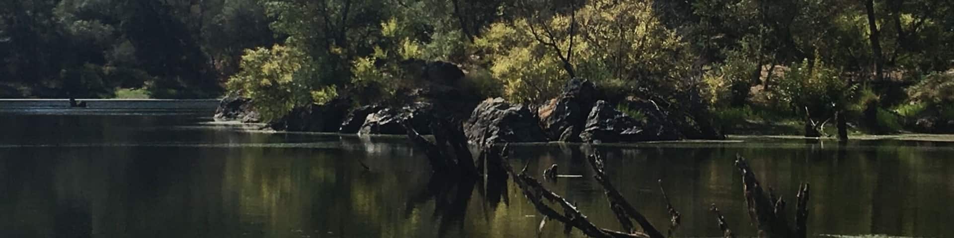 Black Swan Trail at Black Swan Preserve in Smartsville, CA is only 2 miles long. It's an easy walk and surprisingly beautiful. The trail loops around a pretty little pond with rocks and trees peeking through the water. It's a part of the Bear Yuba Land Trust and is home to many different birds and fish. Perfect spot for a little weekend stroll. #takeahike #Reflections