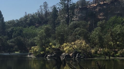 Black Swan Trail at Black Swan Preserve in Smartsville, CA is only 2 miles long. It's an easy walk and surprisingly beautiful. The trail loops around a pretty little pond with rocks and trees peeking through the water. It's a part of the Bear Yuba Land Trust and is home to many different birds and fish. Perfect spot for a little weekend stroll. #takeahike #Reflections