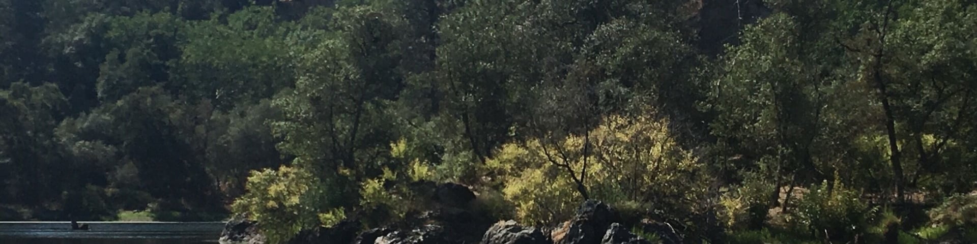 Black Swan Trail at Black Swan Preserve in Smartsville, CA is only 2 miles long. It's an easy walk and surprisingly beautiful. The trail loops around a pretty little pond with rocks and trees peeking through the water. It's a part of the Bear Yuba Land Trust and is home to many different birds and fish. Perfect spot for a little weekend stroll. #takeahike #Reflections