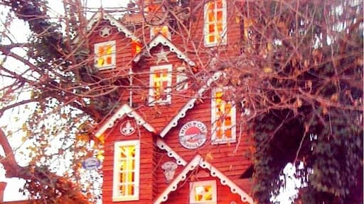 Giant Tree House @ Bravo Farms
(off Highway 99)