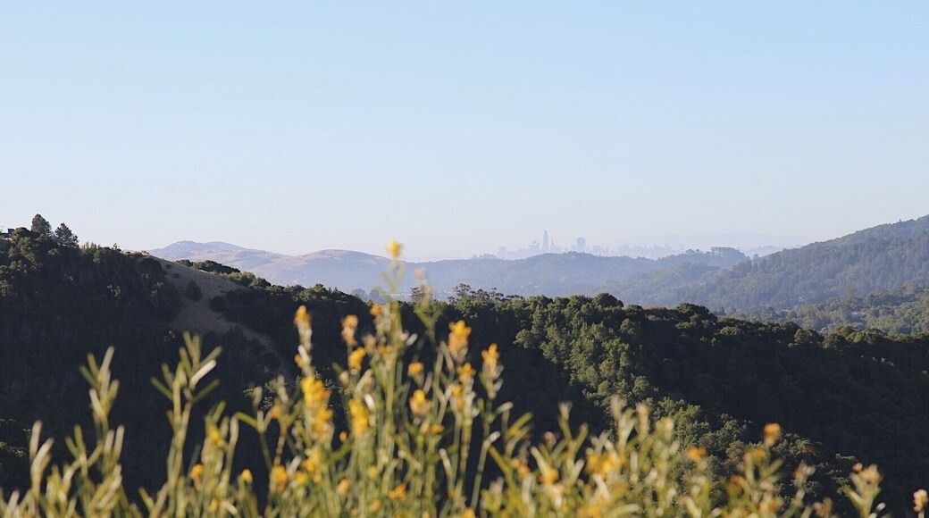San Francisco in the distance.