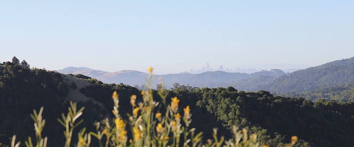 A hilly landscape with a city skyline in the distance.