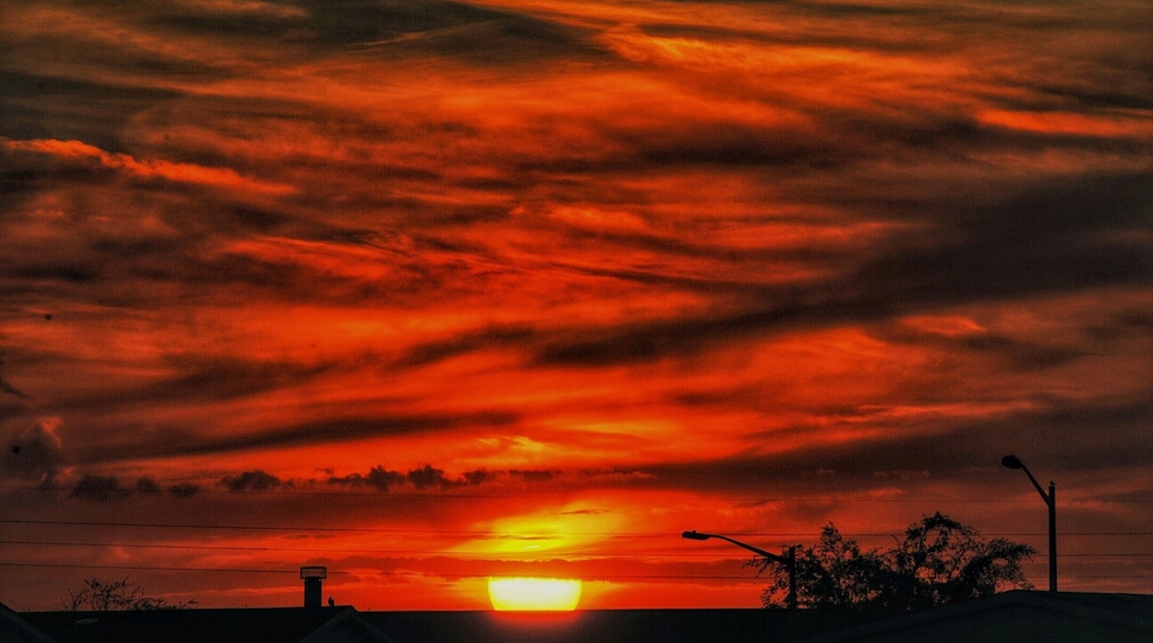 Florida sunsets
#GoldenHour