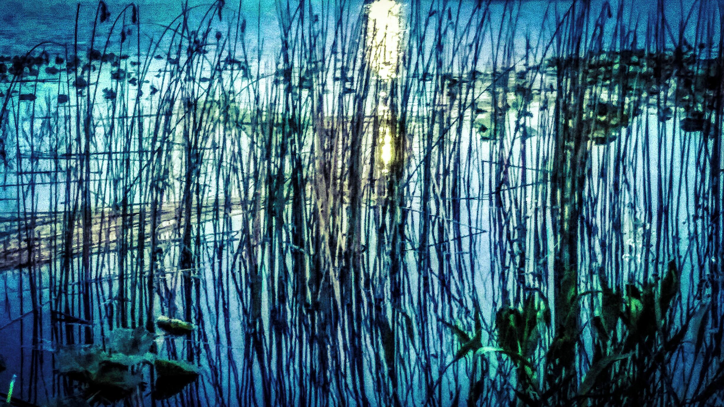 Reflections of Reeds by the glow of the full moon...

St Cloud still has that small town feel.  Cowboys, ranches and lots of boats.
A hop, skip and a jump from the Atlantic Ocean, Disney and all things Florida.
#blue
