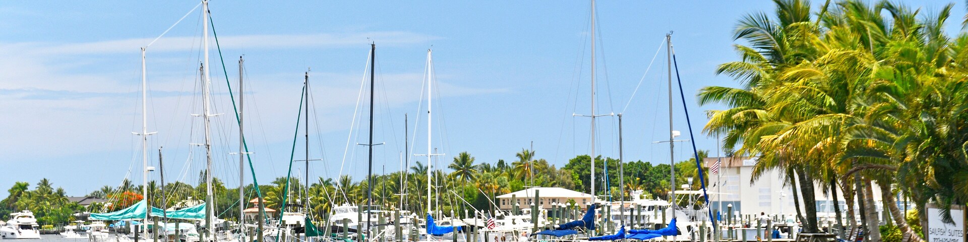 A marina with several sailboats docked, palm trees, and a clear blue sky.