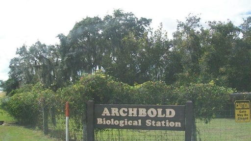 Spend the day at the Station, join a class, or walk the trails of this endangered habitat, watch scrub jays and identify plants that only live in this area.