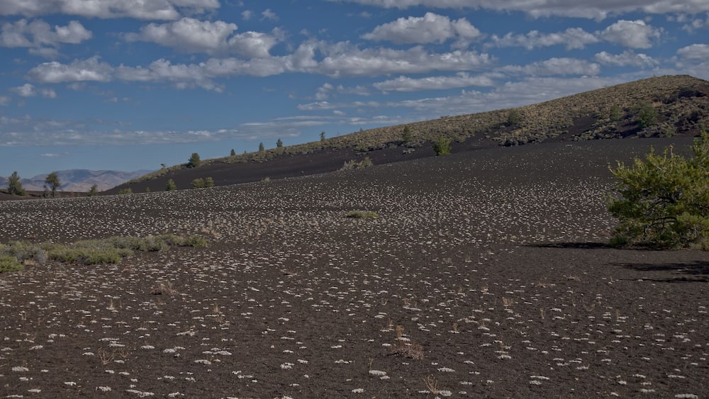 Eine karge Landschaft mit vereinzelter Vegetation und einem fernen Gebirge unter einer teils bewölkten Himmel.
