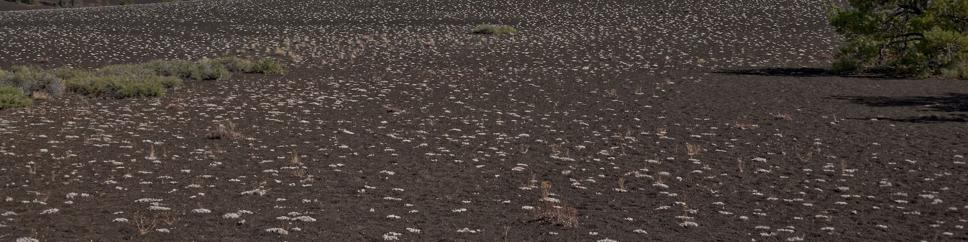 A barren landscape with scattered vegetation and a distant mountain range under a partly cloudy sky.