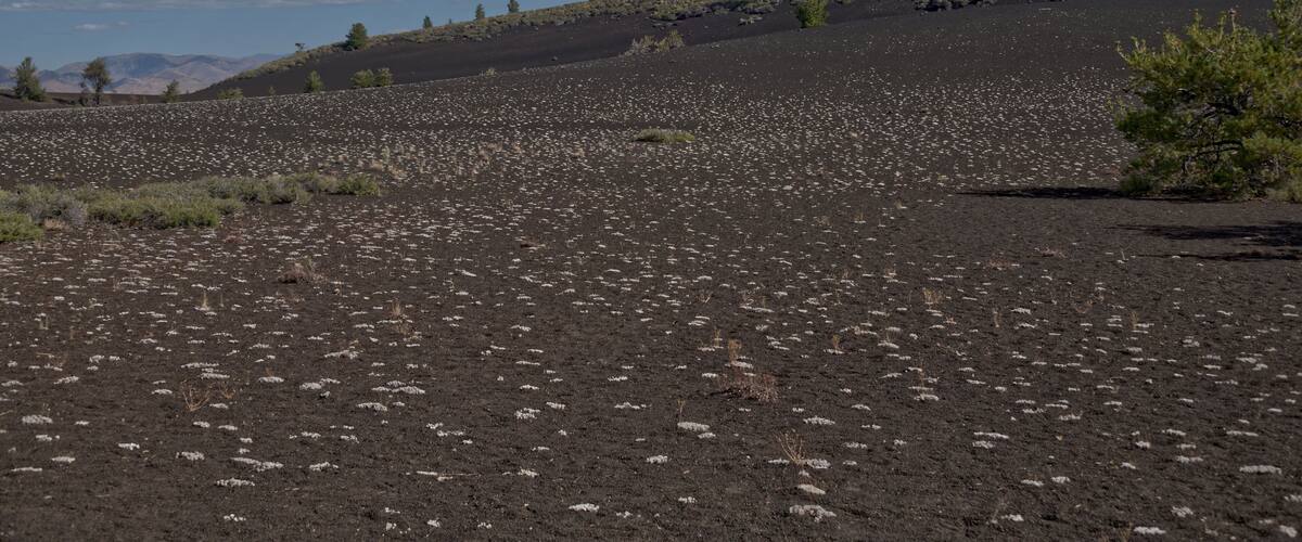 A barren landscape with scattered vegetation and a distant mountain range under a partly cloudy sky.