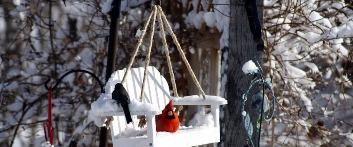 Sitting in the swing just a swingen