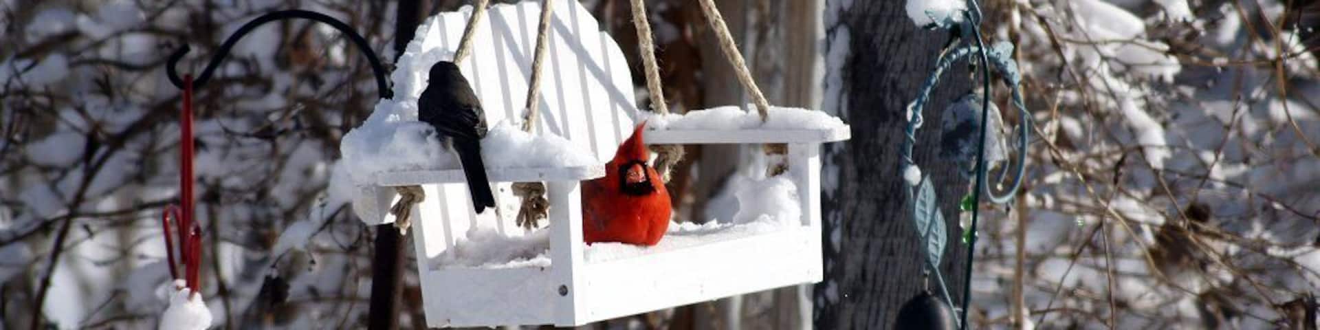 Sitting in the swing just a swingen
