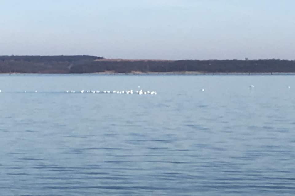 A calm body of water with a distant shoreline and a clear sky.