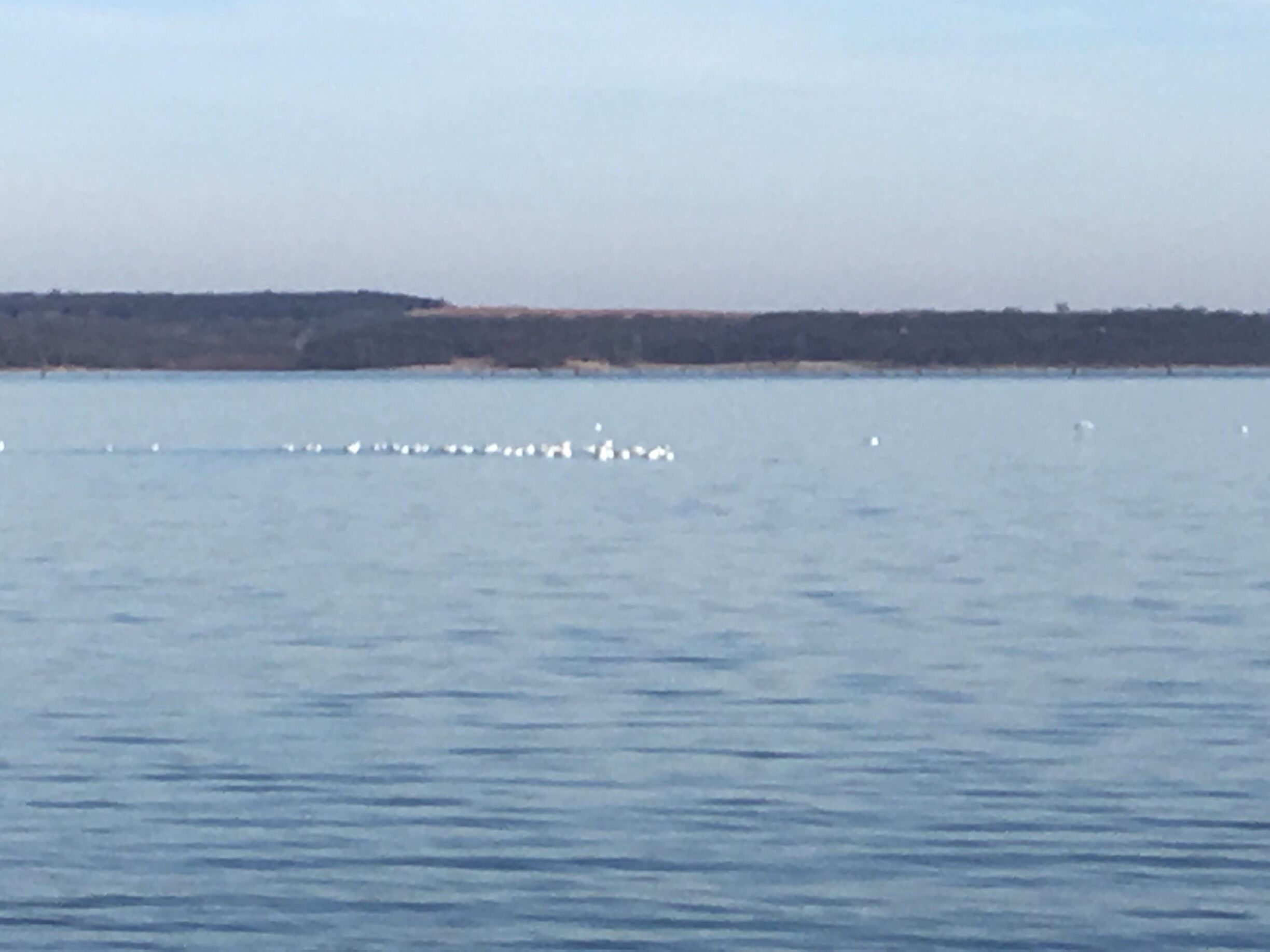 A calm body of water with a distant shoreline and a clear sky.