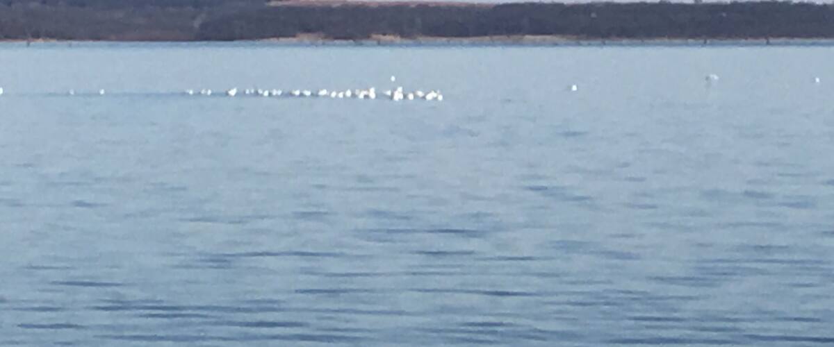 A calm body of water with a distant shoreline and a clear sky.