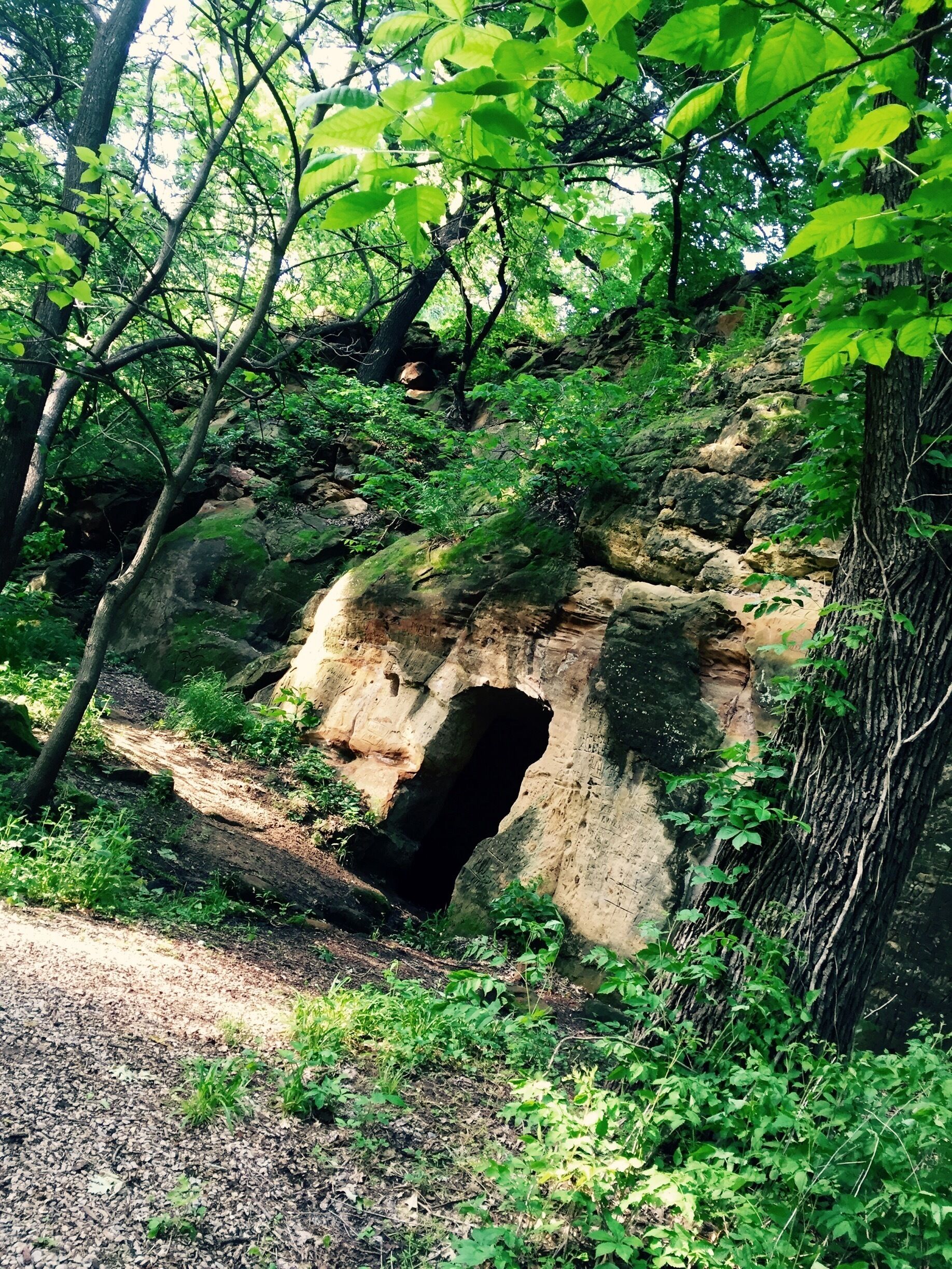 Difficult to find, but worth the work