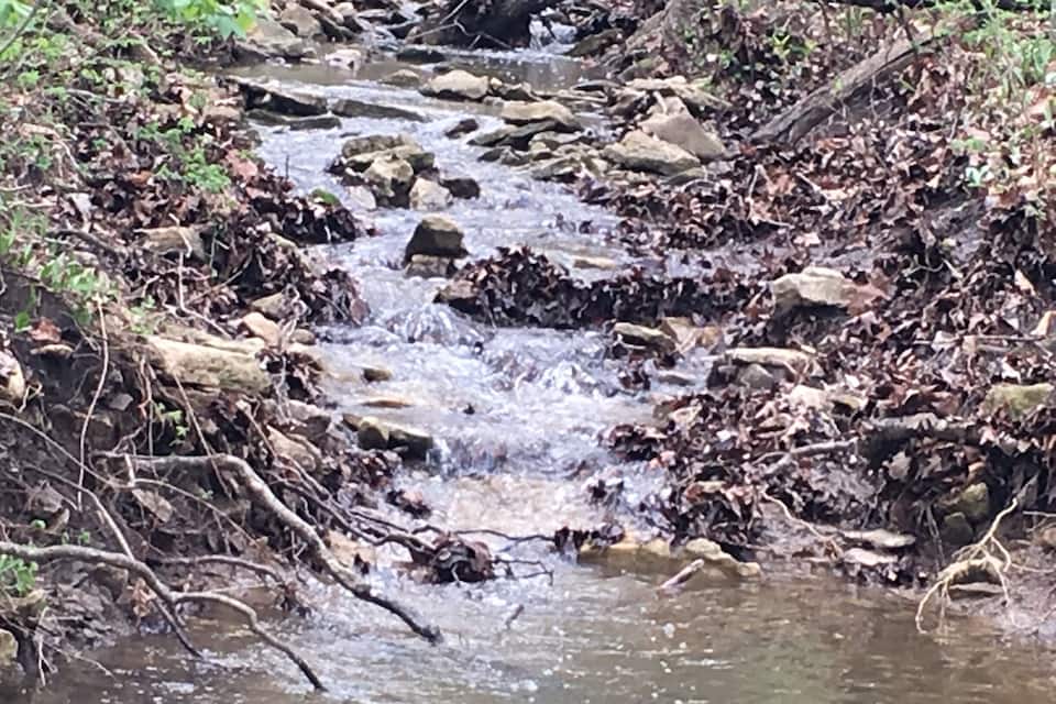 A small stream flowing over rocks in a forested area.