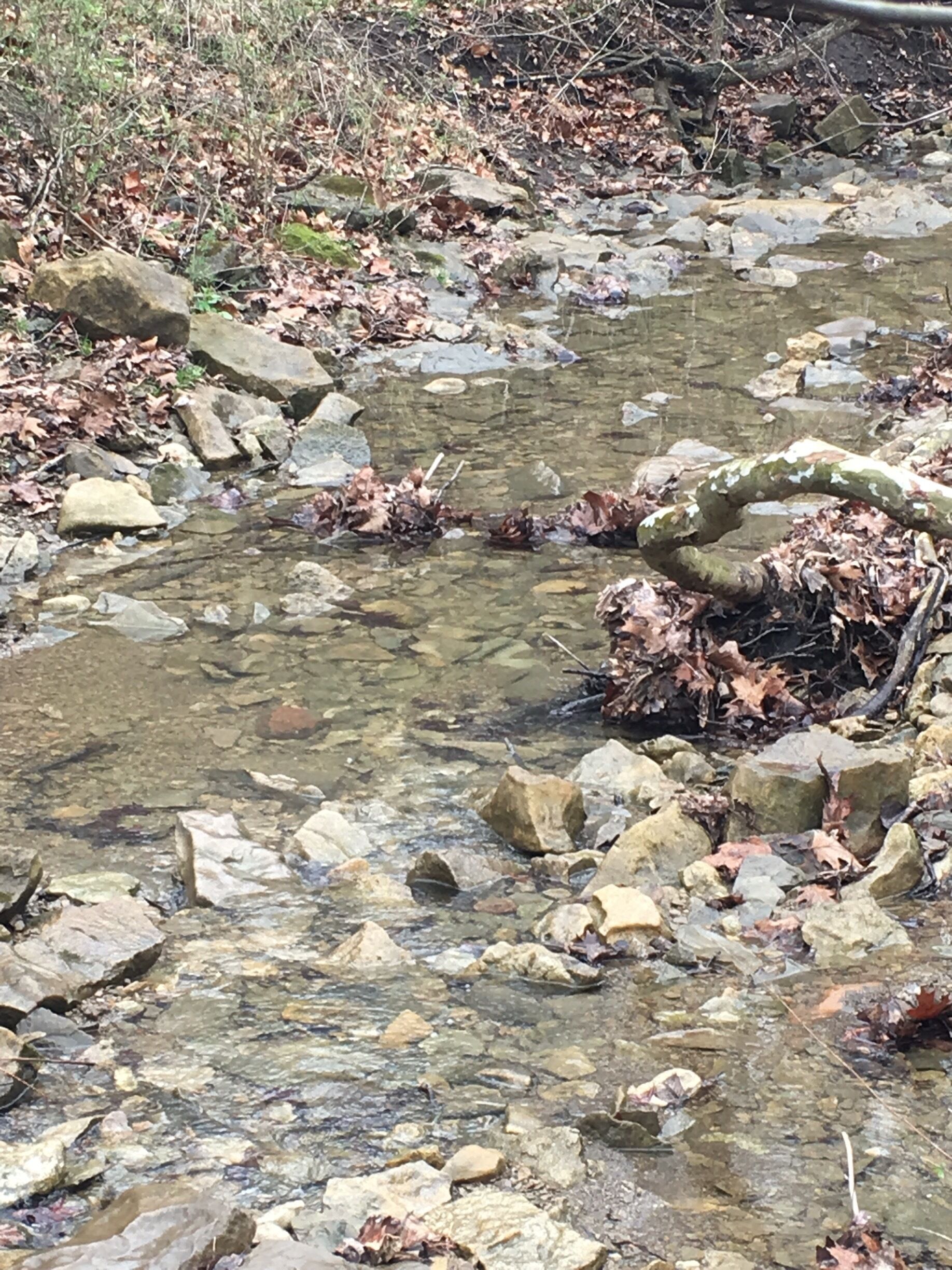 Passed this on our hike