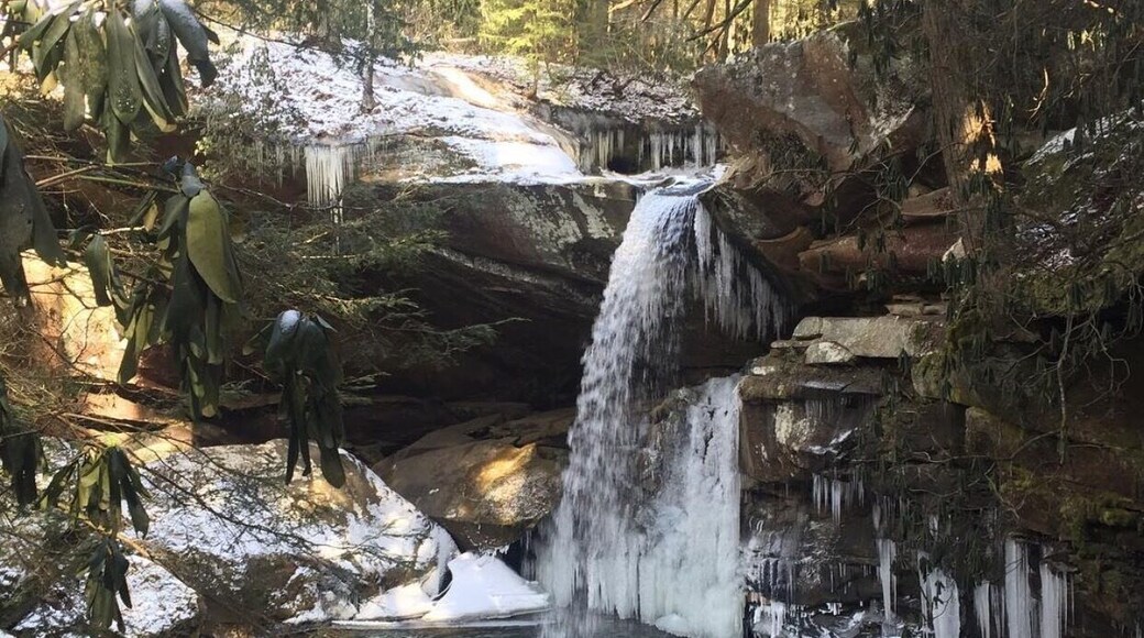 Another one when it wasn't so cold but still beautiful