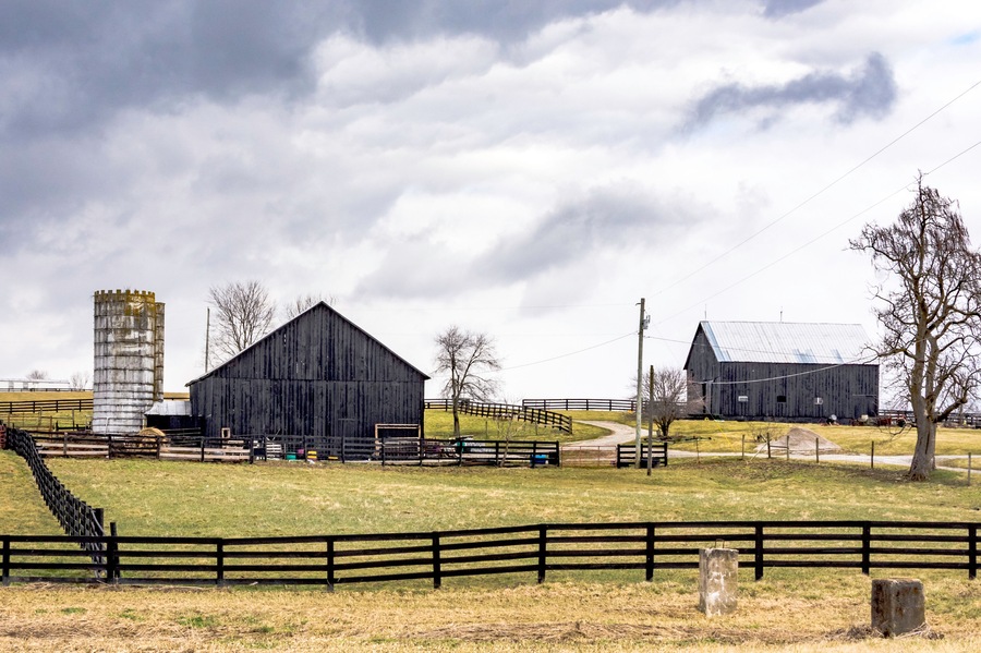 Farm in Fleming County, Kentucky
