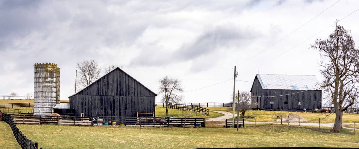A rural landscape with barns, a silo, and a fenced area.