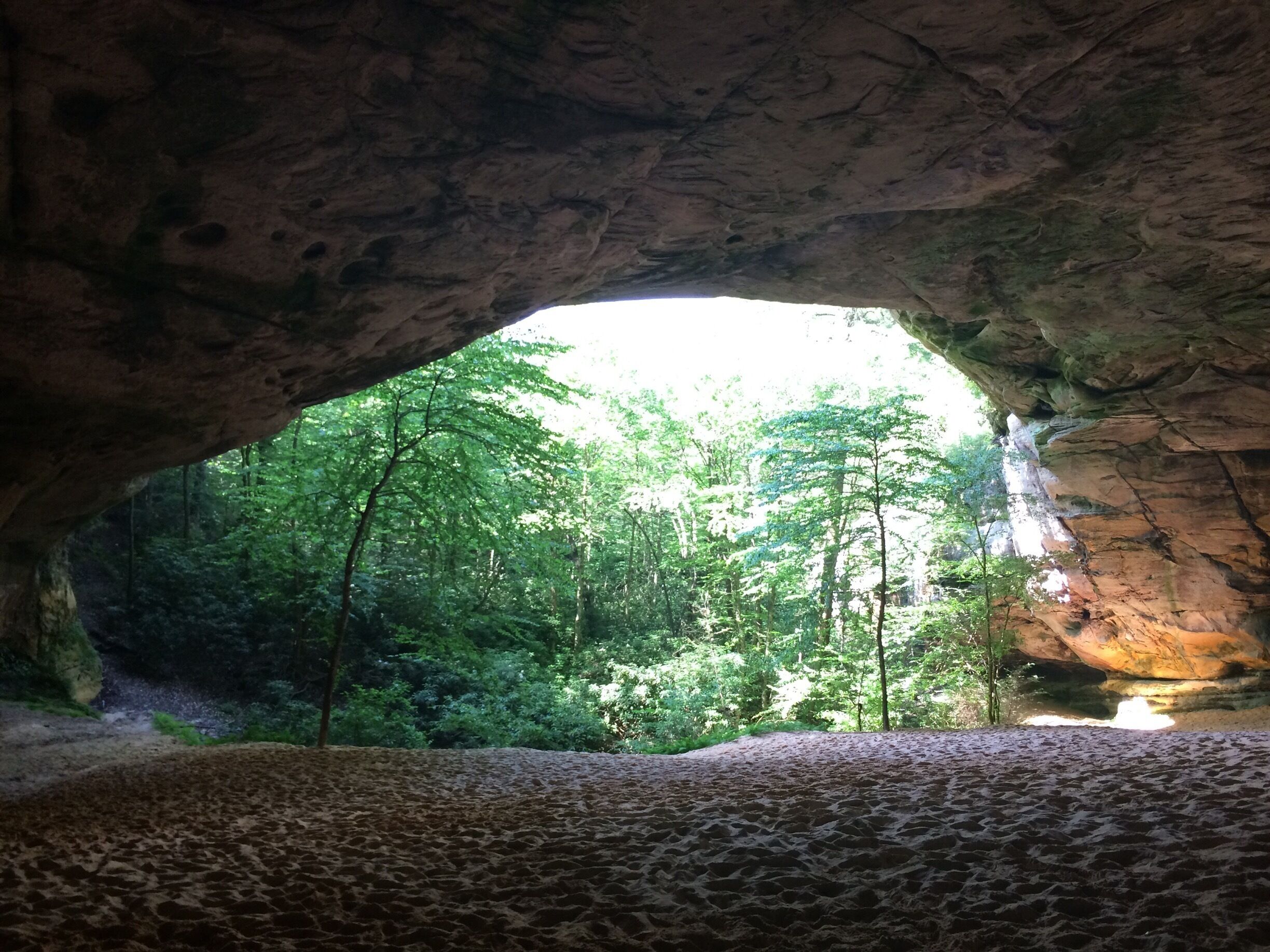 A cave entrance with a view of a forest.
