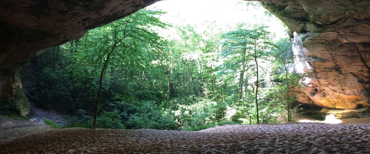A cave entrance with a view of a forest.