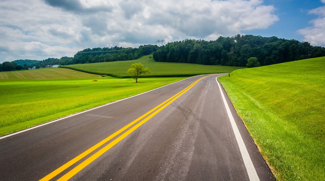 Farm fields along a country road in rural Carroll County, Maryla