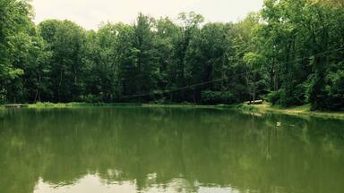 A wonderful made pond right outside the Hobbit House, complete with a zip line.