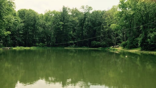 A wonderful made pond right outside the Hobbit House, complete with a zip line.
