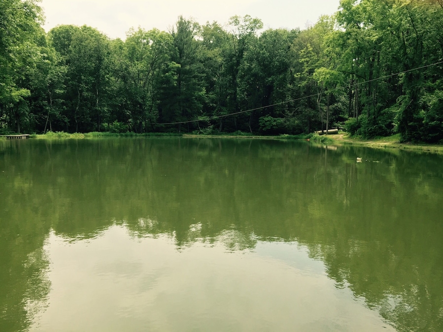 A wonderful made pond right outside the Hobbit House, complete with a zip line.